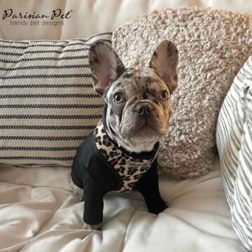 Parisian Pet Freedom Dog Harness - Adjustable Leopard Print Dog Harness - 100% Mesh Fabric Dog Vest Harness - Idle for All Outdoor Adventures - Dog Harness Medium Sized Dog - Puppy Harness - M