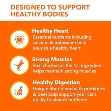 IAMS Proactive Health Adult Cat Food with Chicken 3.5 lb