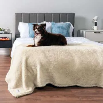 PetAmi Fluffy Waterproof Dog Blanket for Medium Large Dogs, Soft Warm Pet Sherpa Throw Pee Proof Couch Cover, Reversible Cat Bed Blanket Sofa Protector, Plush Washable Pad (Beige Cream, 40x60)
