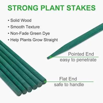 GROWNEER 36 Packs 17 Inches Green Wood Plant Stakes Wooden Floral Support Garden Sticks with Tape and 78 Inches Garden Ties for Wedding Holiday Décor Gift DIY