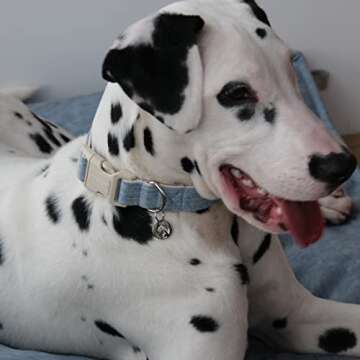 DOGWONG Cotton Hemp Dog Collar, Heavy-Duty Baby Blue Dog Collar Adjustable Soft Natural Fabric Pet Dog Collar Cute Wedding Puppy Necklace for Small Medium Large Dog