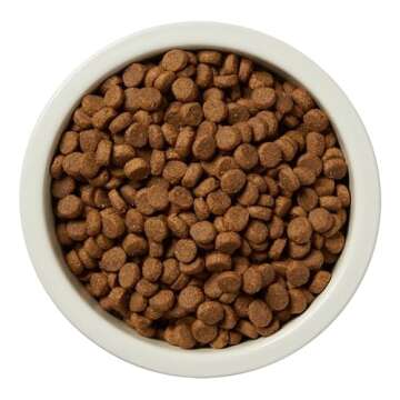 Amazon Brand - Wag Dry Dog Food Grain-Free Chicken & Lentil Recipe, High Protein (24 lb bag)