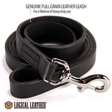 Logical Leather 6 Foot Dog Leash - Best for Training - Heavy Full Grain Leather Lead - Black