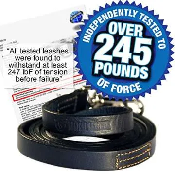 Logical Leather 6 Foot Dog Leash - Best for Training - Heavy Full Grain Leather Lead - Black