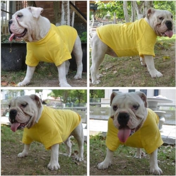 Lovelonglong Bulldog T-Shirt for Comfort and Style