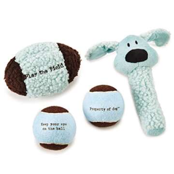 Dog Is Good 4-Piece Dog Toy Gift Box – Play The Field Plush Toys Great for Games of Fetch to Exercise Your Dog