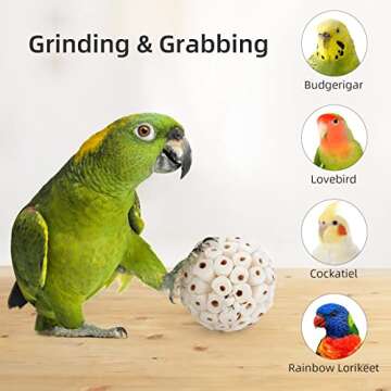 andwe Bird Toy Sola Balls - Natural Soft Chew Shredding & Foraging Toy for Cockatiel Conure Quaker P...