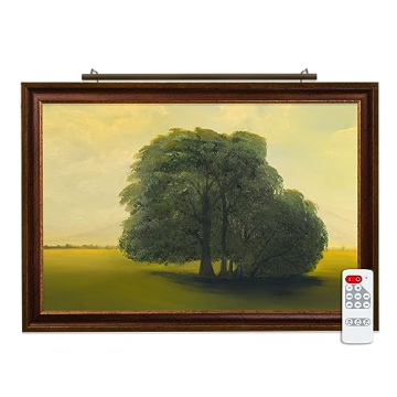 Situ Lighting Plug-in Vision Series Remote Controlled LED Art Light - Illuminate Artwork Beautifully