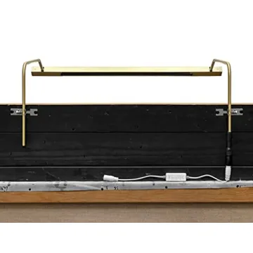 Situ Lighting Remote Controlled LED Art Light - USA Made