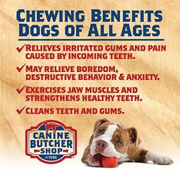 Canine Butcher Shop Duck Feet - All-Natural Dog Treats