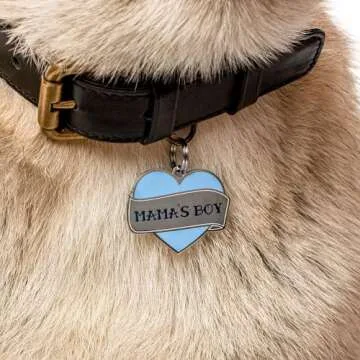 Two Tails Pet Company Personalized 'Mama's Boy' Pet ID Tag - Custom Engraved Dog Tags for Pets - Durable Brass, Silver Plating, Free Engraving for Dog's Name, Perfect for Dog Collars & Leashes