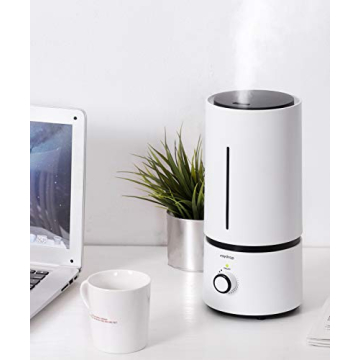 Raydrop Cool Mist Humidifier for Home, Quiet & Efficient
