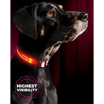 ILLUMISEEN LED Dog Collar USB Rechargeable - Bright & High Visibility Lighted Glow Collar for Pet Ni...