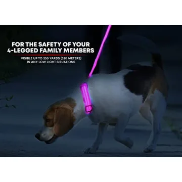 ILLUMISEEN LED Dog Collar High Visibility Rechargeable