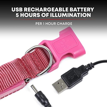 ILLUMISEEN LED Dog Collar High Visibility Rechargeable