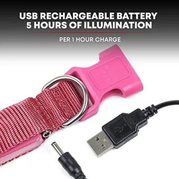 ILLUMISEEN LED Dog Collar High Visibility Rechargeable