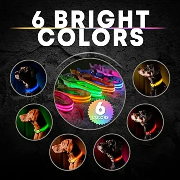 ILLUMISEEN LED Dog Collar High Visibility Rechargeable