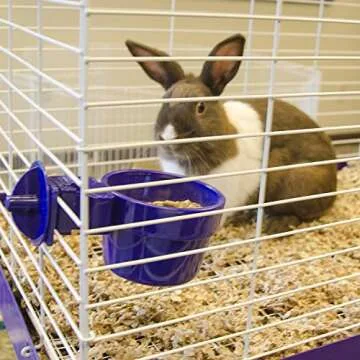 (2-Pack) Ware Plastic Slide-N-Lock Small Pet Crock, 10 Ounce - Assorted Colors