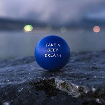 Elibia Set of 3 Motivational Stress Balls for Adults and Kids - Hand Exercise Balls Grip Strengthener Hand Therapy Ball - Squishy Stress Balls for Adults Anxiety Stress Relief Toys for Teens