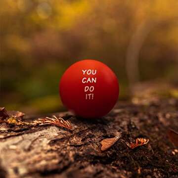 Elibia Set of 3 Motivational Stress Balls for Adults and Kids - Hand Exercise Balls Grip Strengthener Hand Therapy Ball - Squishy Stress Balls for Adults Anxiety Stress Relief Toys for Teens