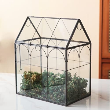 Giadun Large Glass Plant Terrarium with Lid for Home Decor