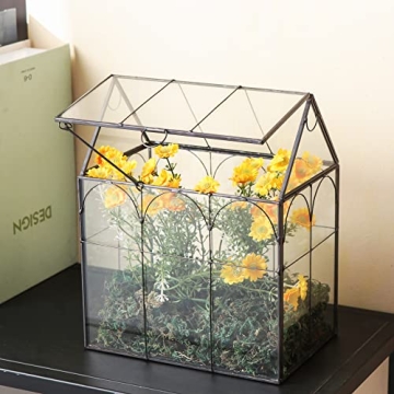 Giadun Large Glass Plant Terrarium with Lid for Home Decor