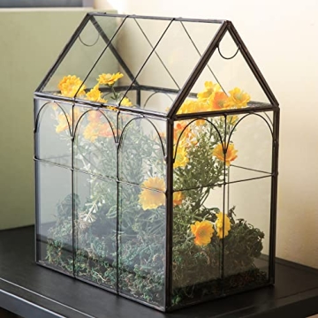 Giadun Large Glass Plant Terrarium with Lid for Home Decor