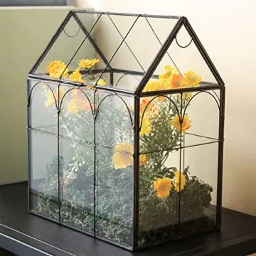 Giadun Large Glass Plant Terrarium with Lid for Home Decor