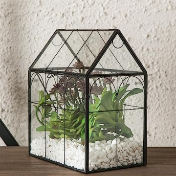 Giadun Large Glass Plant Terrarium with Lid for Home Decor