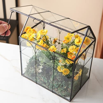 Giadun Large Glass Plant Terrarium with Lid for Home Decor