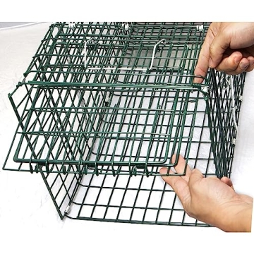 OxGord Live Animal Trap - Humane Catch & Release 32 Inch