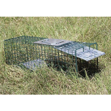 OxGord Live Animal Trap - Humane Catch & Release 32 Inch