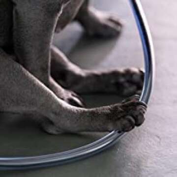 PetCords Dog and Cat Cord Pet Protector 10 FT, Protects Your Pets Through Insulated Cables up to 10ft, Pet and Critter Safety Device, Unscented, Odorless, Made and Designed in The USA