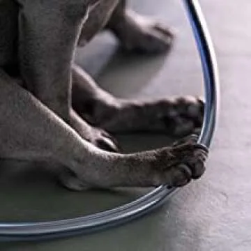 PetCords Dog and Cat Cord Pet Protector 10 FT, Protects Your Pets Through Insulated Cables up to 10ft, Pet and Critter Safety Device, Unscented, Odorless, Made and Designed in The USA