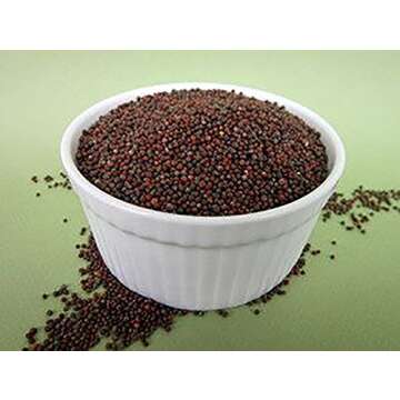 The Sprout House Radish Mix Sprouting Seeds Organic Non-GMO (Includes: Daikon, China Rose and Triton...