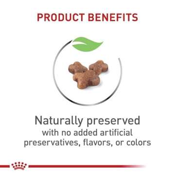 Royal Canin Feline Health Nutrition Dry Kitten Food, Supports Digestive Health, Immune Support and Healthy Energy, 3 lb Bag