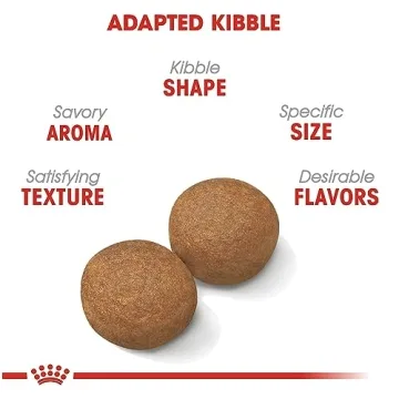 Royal Canin 30 lb Large Breed Adult Dry Dog Food