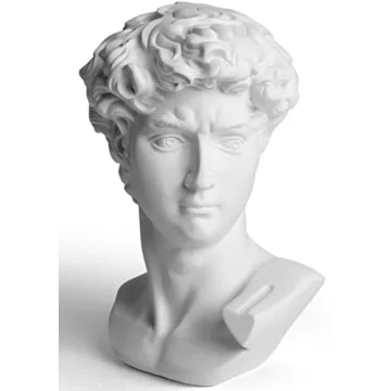 Garwor David Statue Head Sculptures 6" Michelangelo David Bust Figurine Classic Greek Roman Bust Hom...
