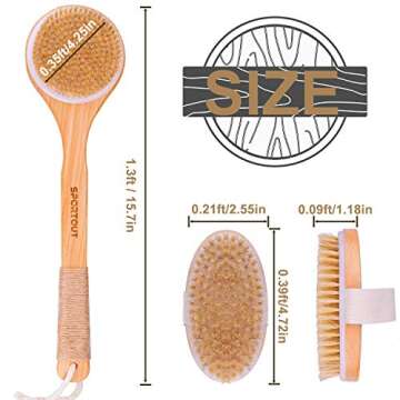 Sportout 2 Packs Bath Body Brush for Dry or Wet Brushing, Long Handles for Exfoliating Bath&SPA Scrubber, Natural Bristle Cellulite Massager, for Shower, Exfoliates, Treatment&Improves Lymphatic Func