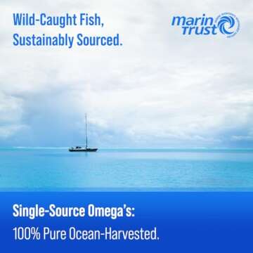 Omega 3 Fish Oil Supplements 3600mg with EPA & DHA | High Potency Omega 3 Supplement to Support Heart, Brain, Joints, Skin, Eyes & Immune Health | 180 Natural Lemon Burpless Fish Oil Capsules