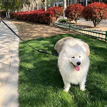 Joytale Dog Leash Heavy Duty for Large Dogs That Pull, Double Handle for Traffic Control, Double-Sided Reflective Leashes for Large Medium Dogs Night Safety, 6FT, Black