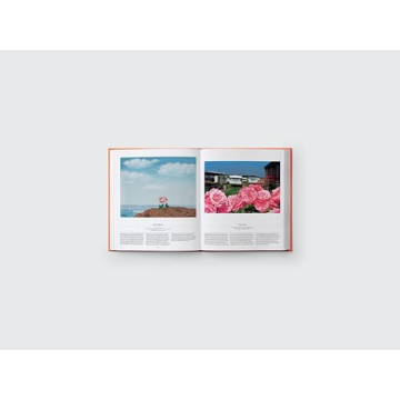 Stunning Floral Art Coffee Table Book for Everyone