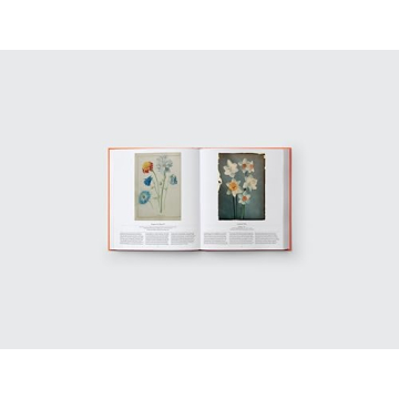 Stunning Floral Art Coffee Table Book for Everyone