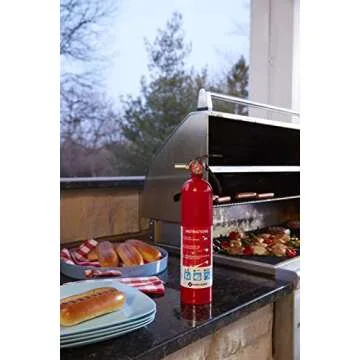 First Alert Home1-2, Standard Home Fire Extinguisher, Red, 2PACK