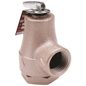 Watts® 374A Boiler Water Pressure Relief Valve, 3/4"