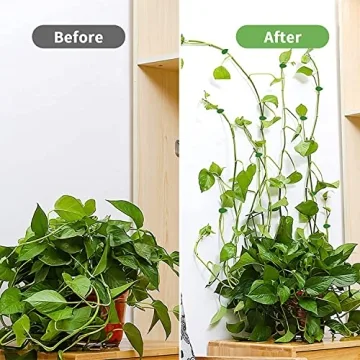 Plant Climbing Wall Clips for Indoor Greenery Support