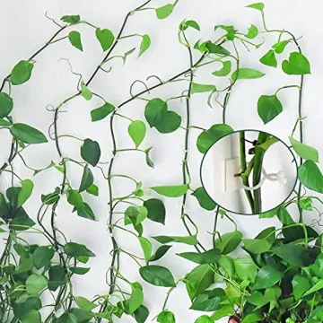 Plant Climbing Wall Clips for Indoor Greenery Support