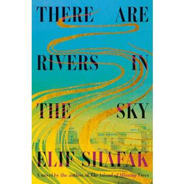 There Are Rivers in the Sky: A novel