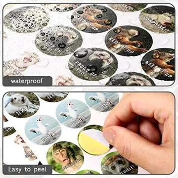 Teacher Reward Stickers Funny Motivational Positive Stickers for Kids Students 28 Vibrant Designs Fun Animal Reward Come in Envelope for Kids Students Teacher School Classroom(560)