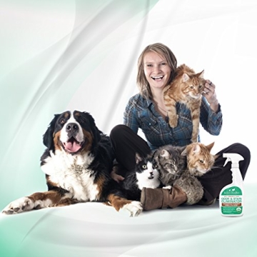 Jackie Doodles Urine Remover - Eco-Friendly Odor Eliminator